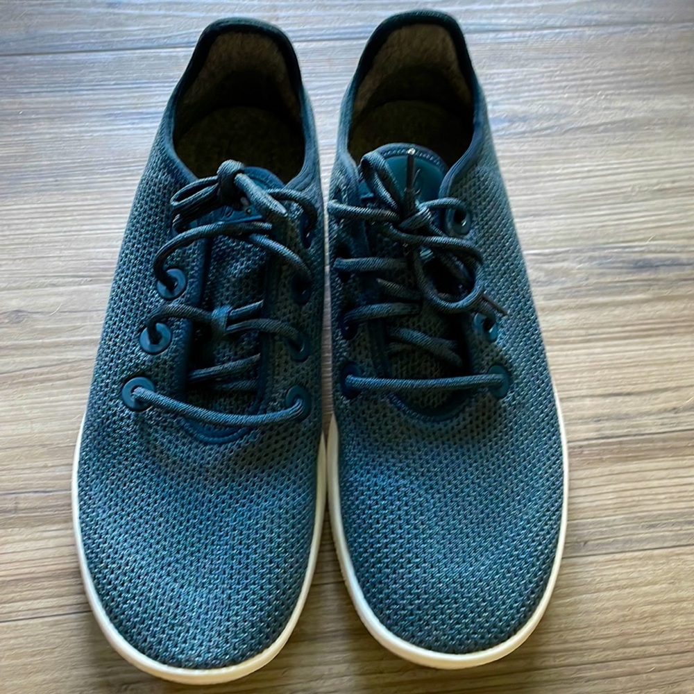 New (never worn) Allbirds Tree Runners